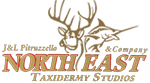 Northeast Taxidermy Studios, Inc.